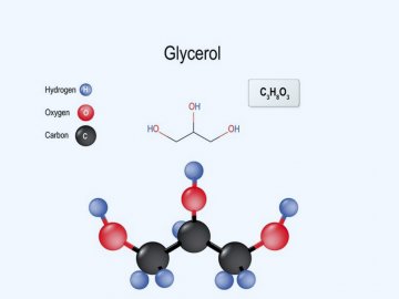 Glycerol formula - Castor International